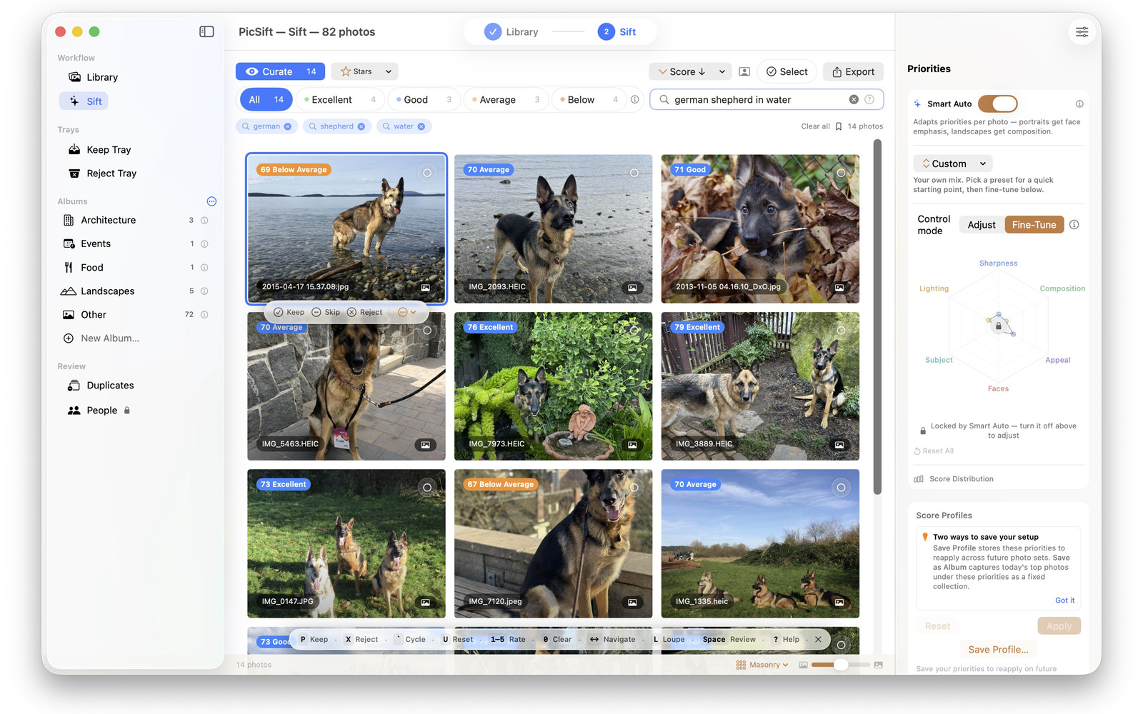 PicSift's search view filtering a photo library down to the frames matching a typed description.