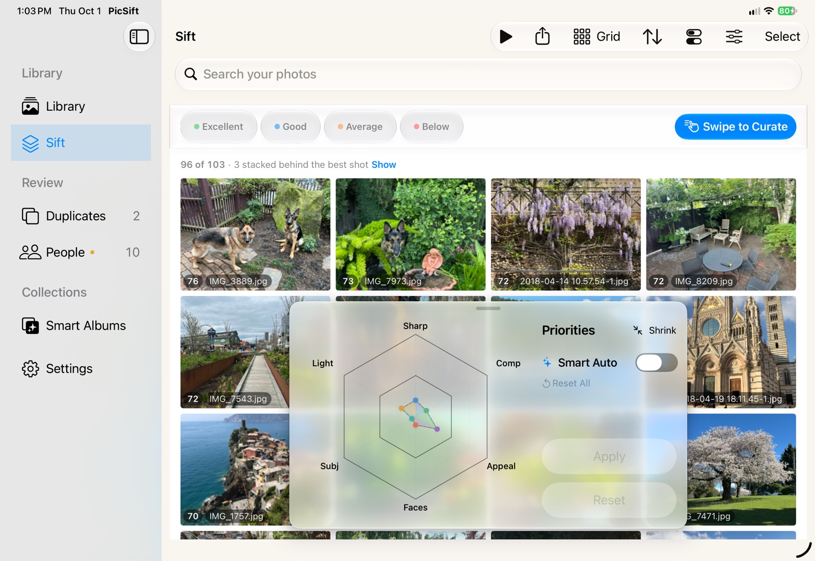 PicSift on an iPad: the same ranked grid, with the Priorities spider chart floating in a glass panel over the photos, below the top row.