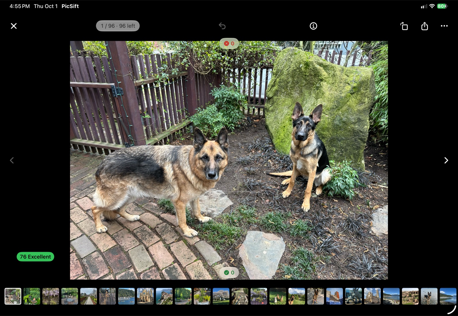 PicSift on an iPad: the Curate view showing one photo of two German shepherds full screen, scored 76, Excellent, with a filmstrip of the ranked set below.